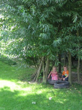 Unser Au�engel�nde im Fifikus