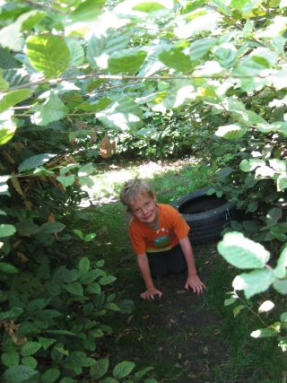 Unser Au�engel�nde im Fifikus