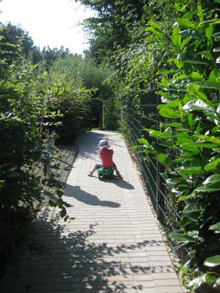 Das Au�engel�nde unserer Minim�use im Fifikus