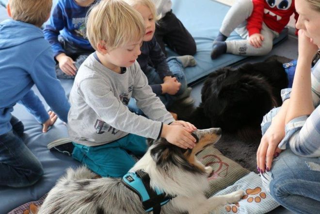 Hundeprojekte der DRK-Kindertageseinrichtung Fifikus Altenberge